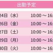 ヒメ日記 2025/12/24 12:31 投稿 ふたば スピードエコ京橋店
