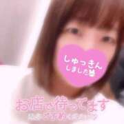 ヒメ日記 2026/02/18 10:11 投稿 ふたば スピードエコ京橋店