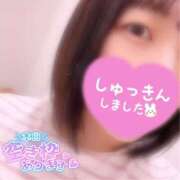 ヒメ日記 2026/04/24 09:51 投稿 ふたば スピードエコ京橋店