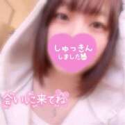 ヒメ日記 2026/05/20 10:01 投稿 ふたば スピードエコ京橋店
