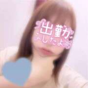 ヒメ日記 2026/07/19 10:02 投稿 ふたば スピードエコ京橋店