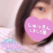 ヒメ日記 2026/07/29 10:07 投稿 ふたば スピードエコ京橋店