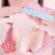 ヒメ日記 2026/08/14 09:57 投稿 ふたば スピードエコ京橋店