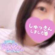 ヒメ日記 2026/09/29 12:07 投稿 ふたば スピードエコ京橋店