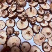 ヒメ日記 2025/12/26 18:40 投稿 けいと 西川口こんにちわいふ（シンデレラグループ）