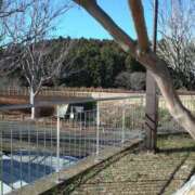 ヒメ日記 2025/12/26 09:25 投稿 もも【業界未経験】 茨城水戸ちゃんこ