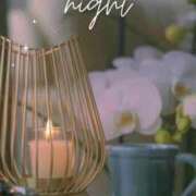 ヒメ日記 2025/12/29 22:25 投稿 もも【業界未経験】 茨城水戸ちゃんこ