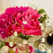 もも【業界未経験】 お礼 茨城水戸ちゃんこ