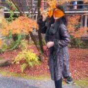 ヒメ日記 2025/12/14 06:34 投稿 赤坂麗来 五十路マダム東広島店(カサブランカグループ)