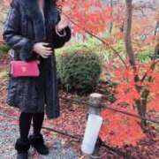 ヒメ日記 2025/12/21 10:28 投稿 赤坂麗来 五十路マダム東広島店(カサブランカグループ)