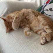 ヒメ日記 2025/11/30 15:07 投稿 夏川あさひ 横浜プロダクション