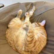 ヒメ日記 2026/01/26 22:57 投稿 夏川あさひ 横浜プロダクション