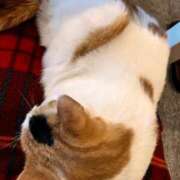 ヒメ日記 2026/02/05 12:10 投稿 夏川あさひ 横浜プロダクション