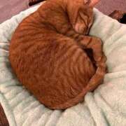 ヒメ日記 2026/02/09 17:47 投稿 夏川あさひ 横浜プロダクション