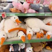 ヒメ日記 2026/02/18 10:45 投稿 夏川あさひ 横浜プロダクション