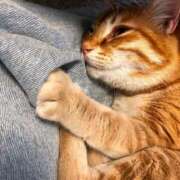 ヒメ日記 2026/02/26 22:54 投稿 夏川あさひ 横浜プロダクション