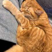 ヒメ日記 2026/02/28 18:05 投稿 夏川あさひ 横浜プロダクション