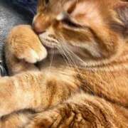 ヒメ日記 2026/03/01 15:12 投稿 夏川あさひ 横浜プロダクション