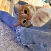 ヒメ日記 2026/03/16 10:12 投稿 夏川あさひ 横浜プロダクション