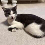 ヒメ日記 2026/03/19 11:37 投稿 夏川あさひ 横浜プロダクション