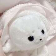 セイラ 初日ありがとうございました???? ラブコレクション