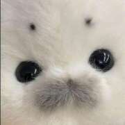 ヒメ日記 2025/12/12 13:31 投稿 セイラ ラブコレクション