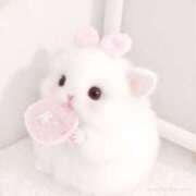 ヒメ日記 2025/12/22 13:31 投稿 セイラ ラブコレクション