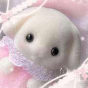 ヒメ日記 2026/01/28 19:31 投稿 セイラ ラブコレクション