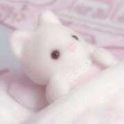 ヒメ日記 2026/01/30 07:31 投稿 セイラ ラブコレクション