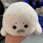 ヒメ日記 2026/02/18 14:01 投稿 セイラ ラブコレクション