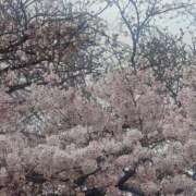 あおい 雨が降ってきちゃいましたね 性腺熟女100％鶯谷（デリヘル市場）