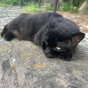 ヒメ日記 2025/12/06 18:42 投稿 ありさ 出会い系人妻ネットワーク さいたま～大宮編