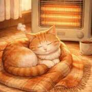 ヒメ日記 2025/12/27 22:32 投稿 ありさ 出会い系人妻ネットワーク さいたま～大宮編