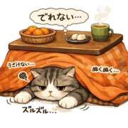 ヒメ日記 2026/01/26 01:14 投稿 ありさ 出会い系人妻ネットワーク 春日部〜岩槻編