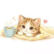 ヒメ日記 2026/02/19 22:14 投稿 ありさ 出会い系人妻ネットワーク 春日部〜岩槻編