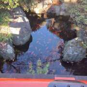 ヒメ日記 2025/12/08 08:22 投稿 りこ Hip's千葉駅前店