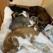 ヒメ日記 2025/12/14 19:42 投稿 りこ Hip's千葉駅前店