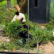 ヒメ日記 2026/01/06 08:22 投稿 りこ Hip's千葉駅前店