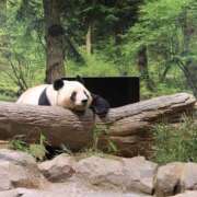 ヒメ日記 2026/01/06 16:02 投稿 りこ Hip's千葉駅前店