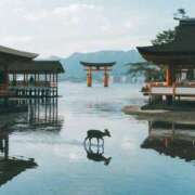 ヒメ日記 2026/01/10 18:32 投稿 りこ Hip's千葉駅前店