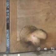 ヒメ日記 2026/01/14 15:22 投稿 りこ Hip's千葉駅前店