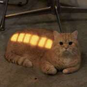 ヒメ日記 2026/01/15 08:02 投稿 りこ Hip's千葉駅前店