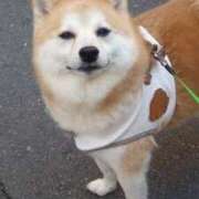 ヒメ日記 2026/01/16 06:52 投稿 りこ Hip's千葉駅前店