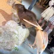 ヒメ日記 2026/01/24 12:22 投稿 りこ Hip's千葉駅前店