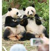 ヒメ日記 2026/01/28 08:02 投稿 りこ Hip's千葉駅前店