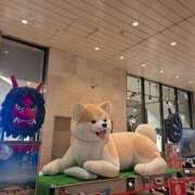 ヒメ日記 2026/01/30 18:32 投稿 りこ Hip's千葉駅前店