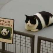 ヒメ日記 2026/02/18 19:12 投稿 りこ Hip's千葉駅前店