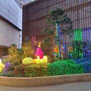 ヒメ日記 2026/02/18 20:02 投稿 りこ Hip's千葉駅前店