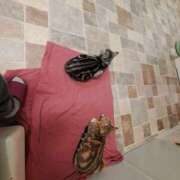 ヒメ日記 2026/02/24 10:32 投稿 りこ Hip's千葉駅前店