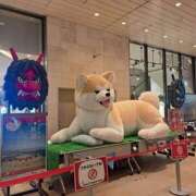 ヒメ日記 2026/02/25 15:22 投稿 りこ Hip's千葉駅前店